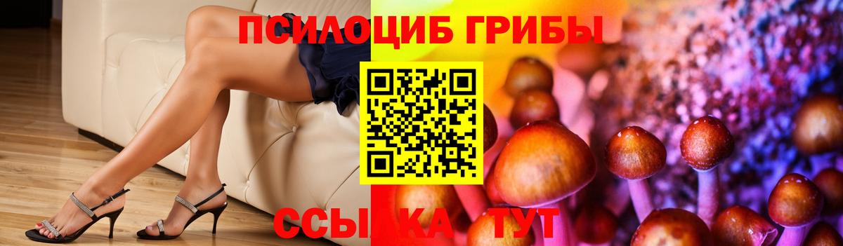 Псилоцибиновые грибы прущие грибы  закладки  Карабулак  Вход с VPN 